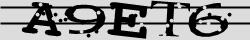 Retype the CAPTCHA code from the image